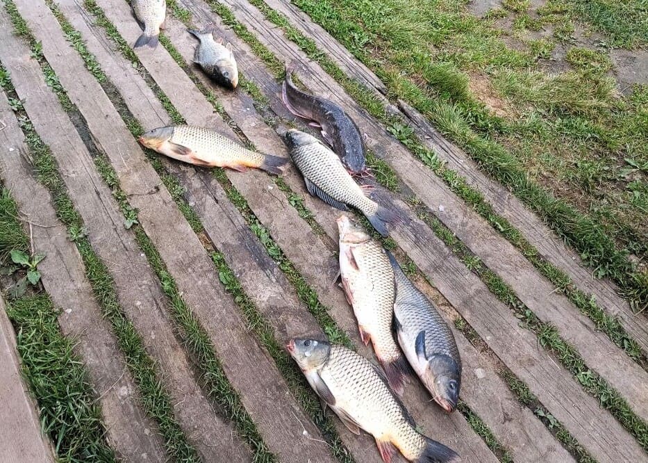 Продажа офиса  